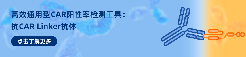 抗CAR Linker抗体