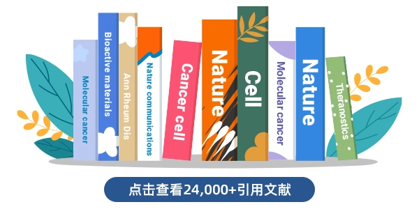 引用文献