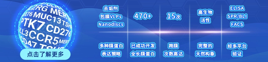 跨膜蛋白