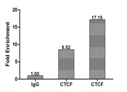CSB-PA006138DSR2HU