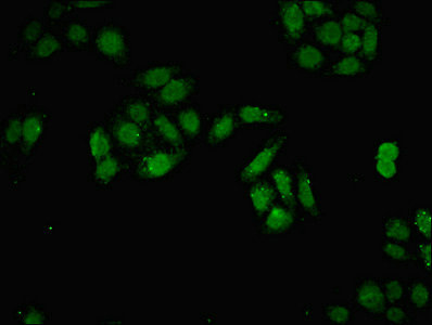 CSB-PA883358HA01HU