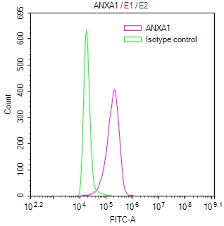 CSB-RA001836MA1HU