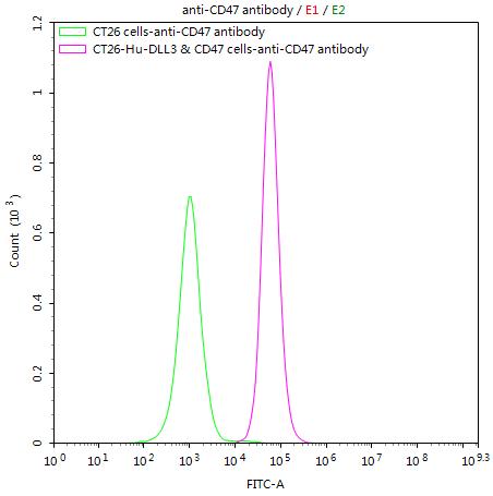 CSB-RA004940MA1HU