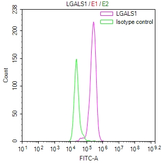CSB-RA012882MA1HU