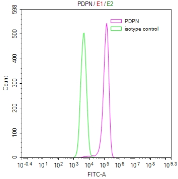 CSB-RA017739MA1HU