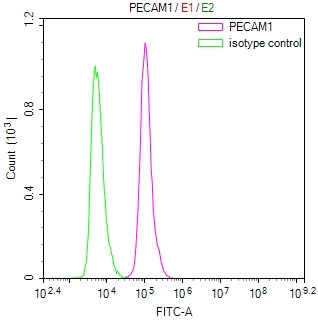 CSB-RA017767MA1HU