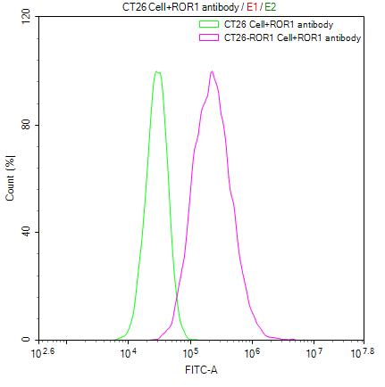 CSB-RA020067A1HU