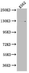 CSB-RA192026A0HU