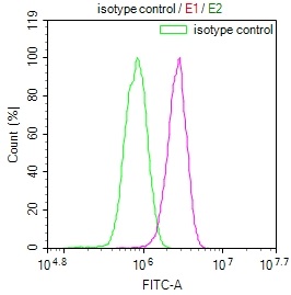 CSB-RA233042A0HU