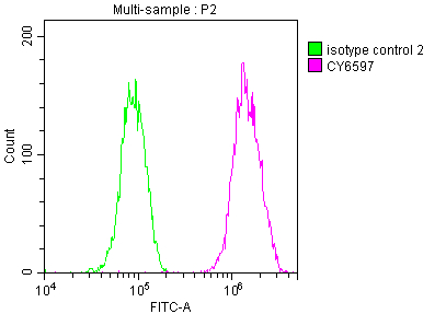 CSB-RA240595A0HU