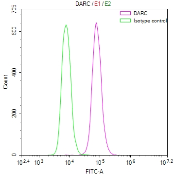 CSB-RA287686A0HU