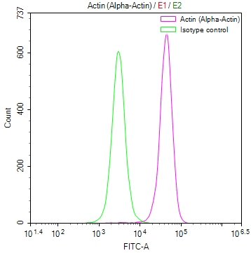 CSB-RA289956A0HU