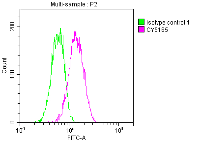 CSB-RA546821A0HU
