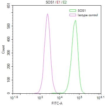 CSB-RA561936A0HU