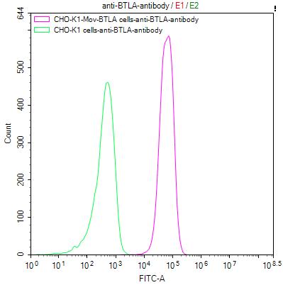 CSB-RA773799MA1HU