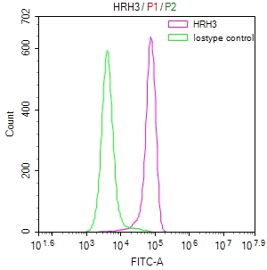 CSB-RA783626A0HU