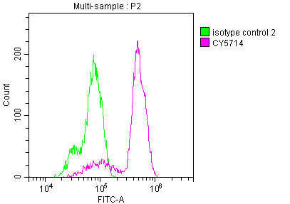 CSB-RA918236A0HU