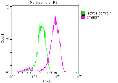 CSB-RA932542A0HU