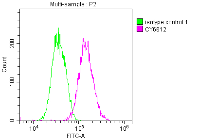 CSB-RA958910A0HU