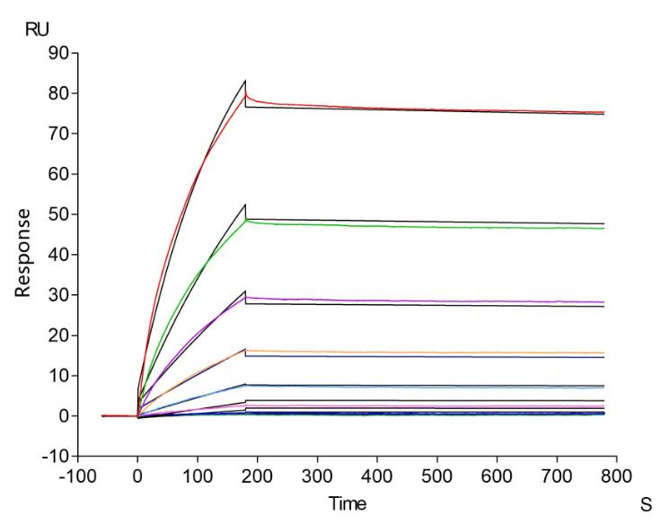 CSB-CF004843HU AC2