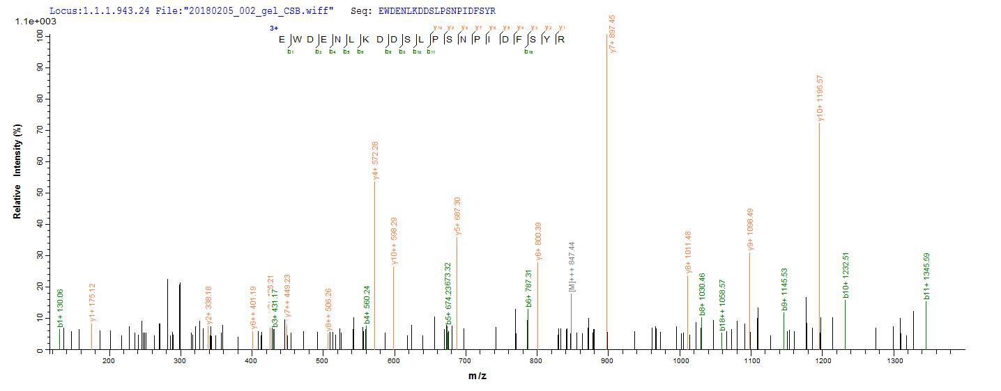 CSB-CF842761HU