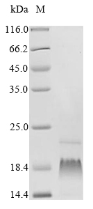 CSB-CF878932HU