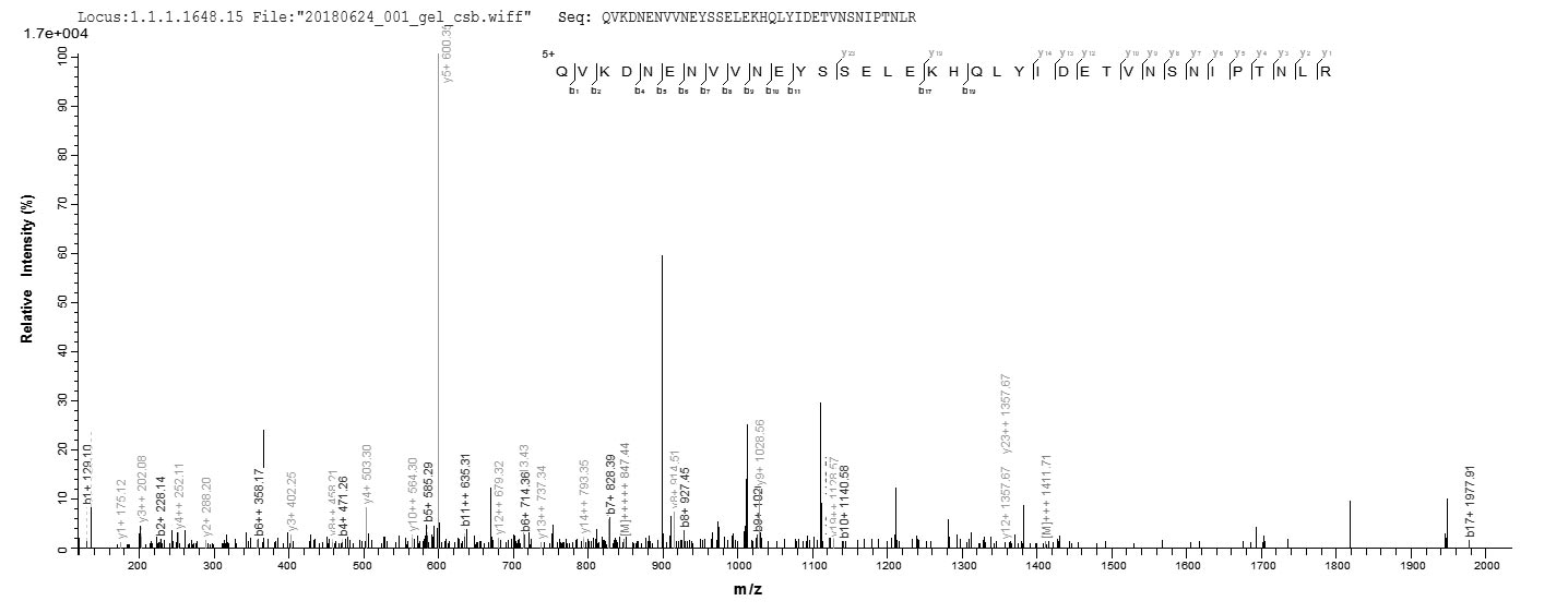 CSB-EP008608HU