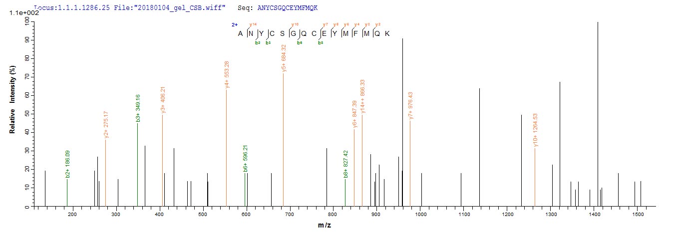 CSB-EP009344HU