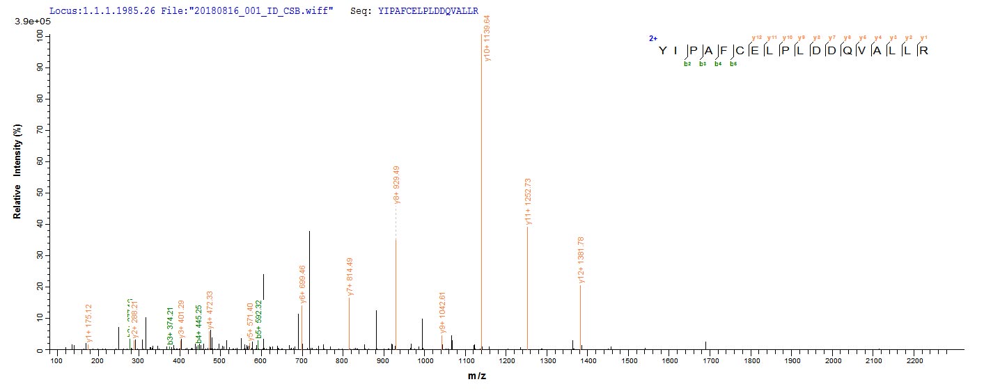 CSB-EP010594HU