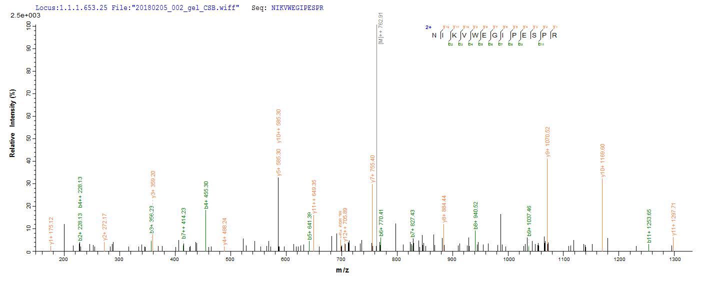CSB-EP014661HU