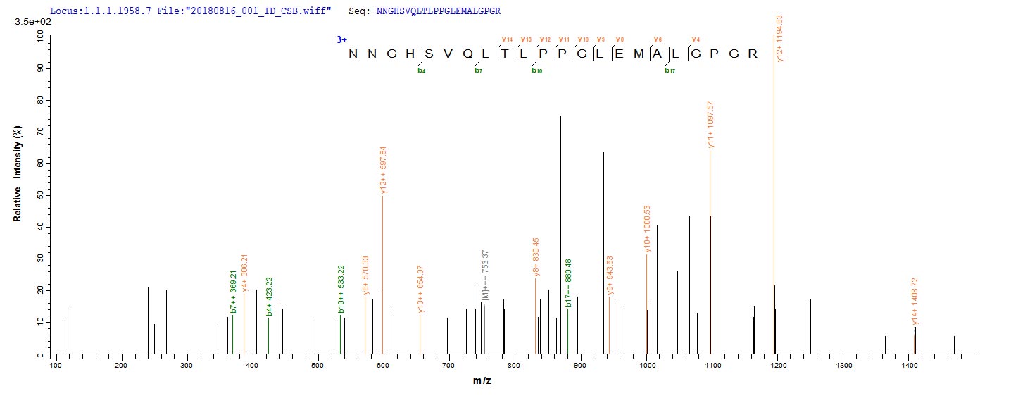 CSB-EP614990HUc0