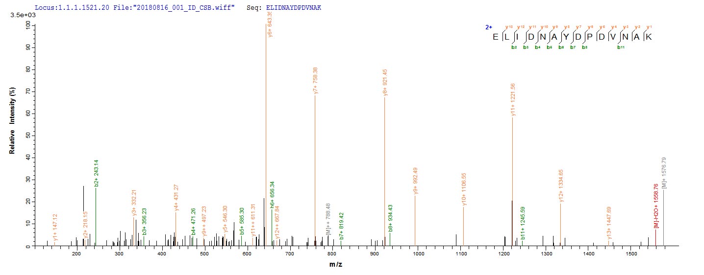 CSB-EP622753HU