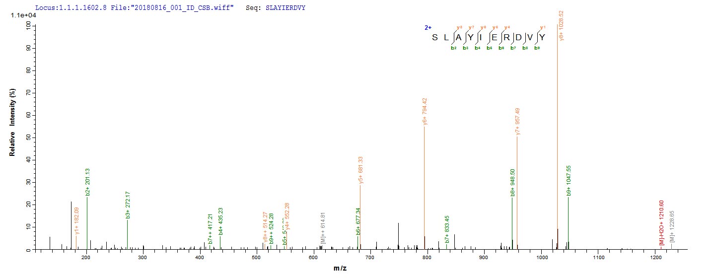 CSB-EP622753HU