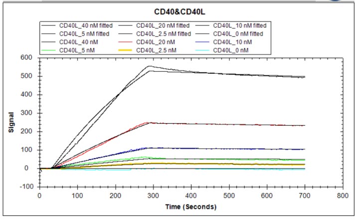 CSB-MP004936HU1