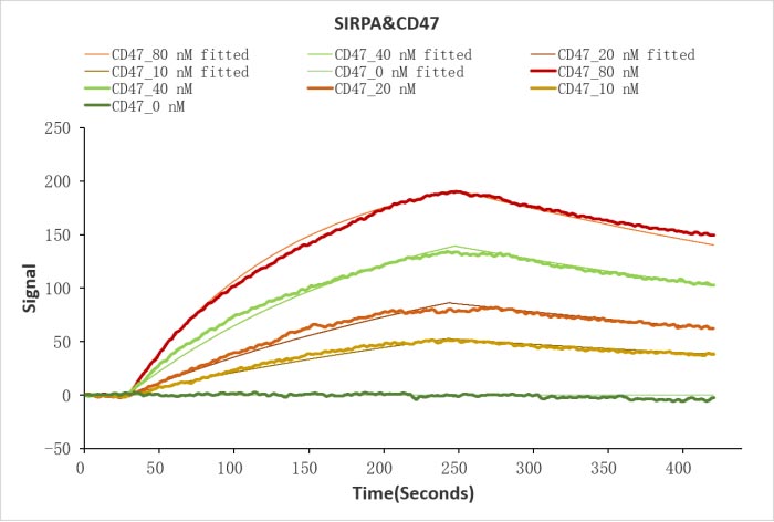 CSB-MP004940HU