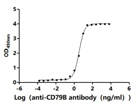 CSB-MP004958HU1