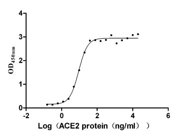 CSB-MP348663HQE ELISA