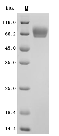CSB-MP5140MOV