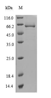 CSB-MP723415HU