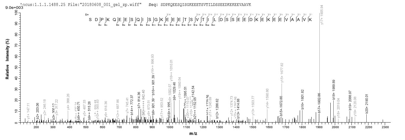 CSB-EP614892HU1
