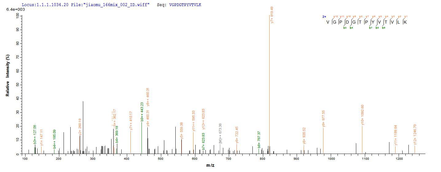 CSB-YP008646HU