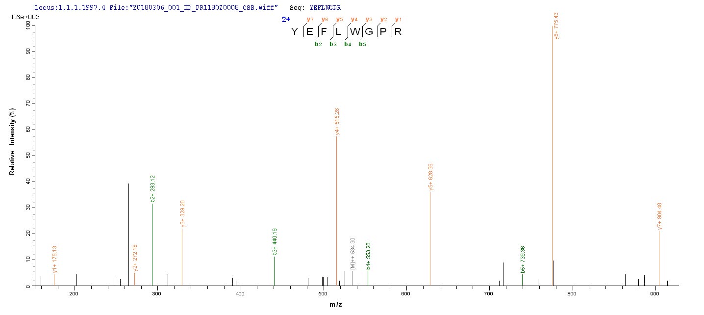 CSB-YP013323HU