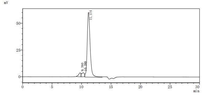 CSB-YP023607HU
