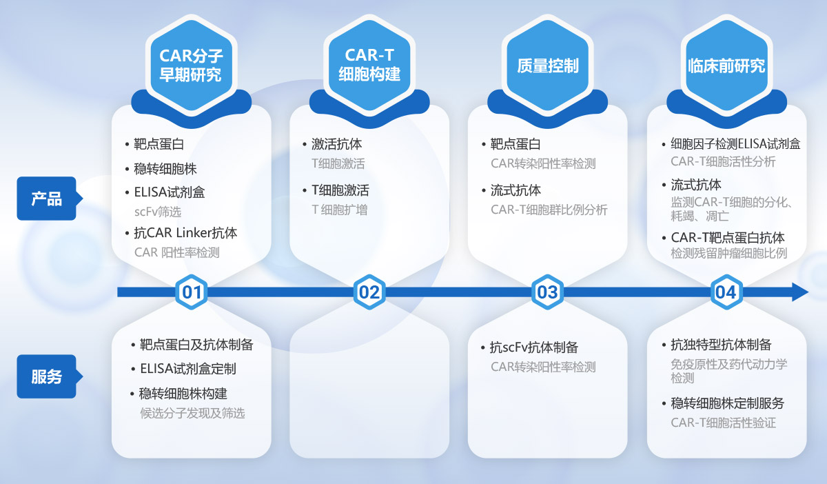 CAR-T细胞治疗开发解决方案