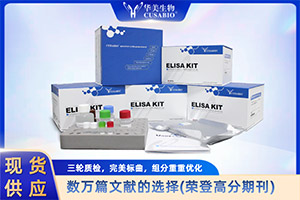 elisa试剂盒