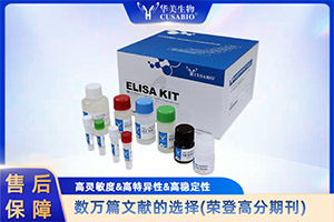 elisa检测试剂盒