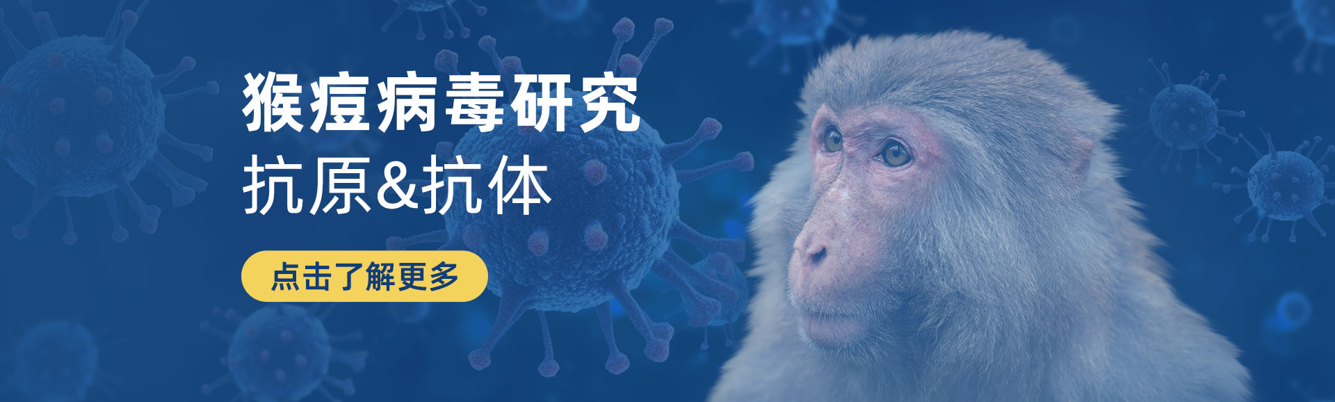 猴痘病毒研究相关产品
